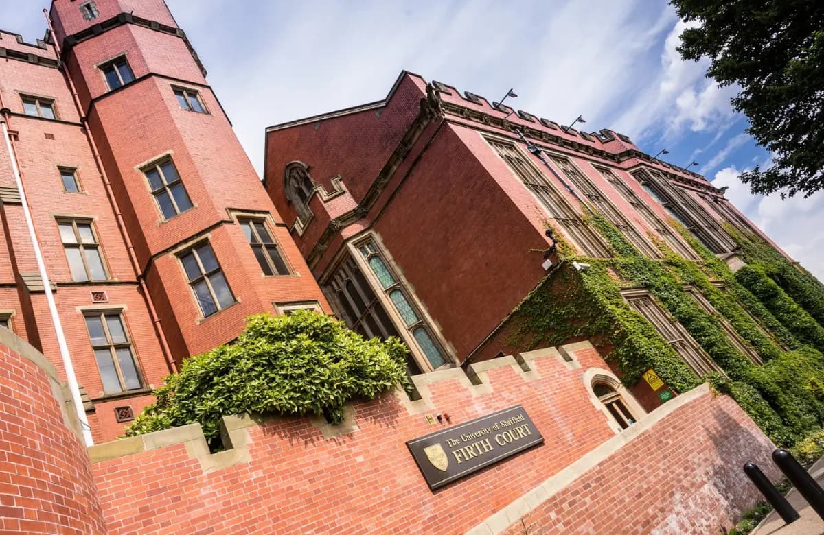 University of Sheffield