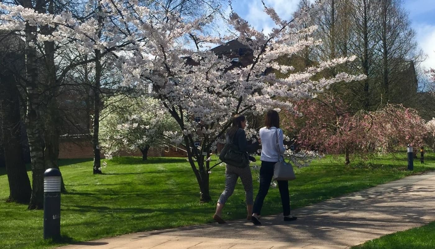 From Ghana to Keele: My Experience of Study Abroad