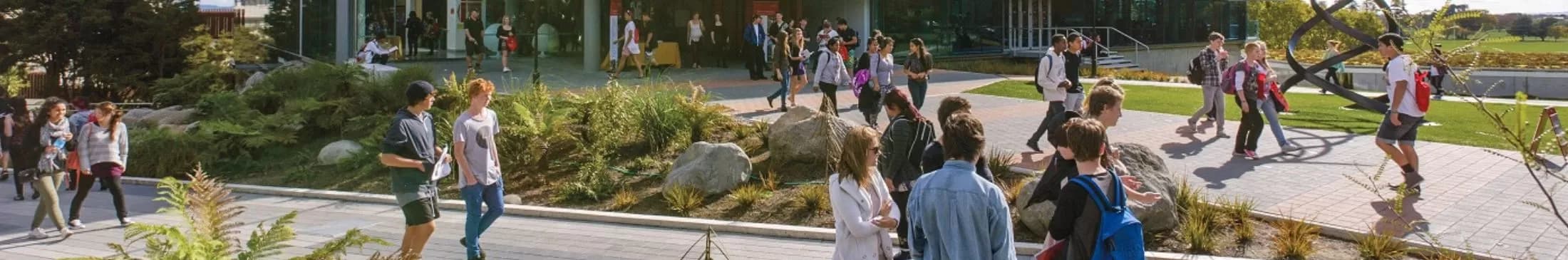 University of Waikato