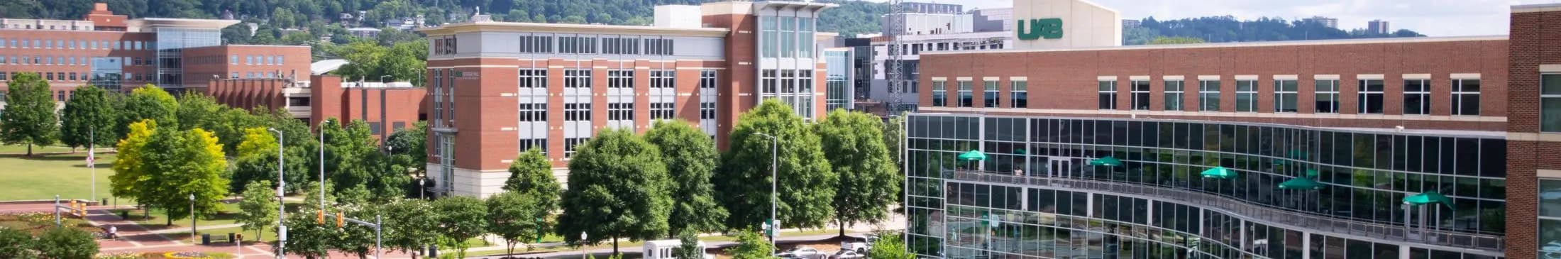 The University of Alabama at Birmingham