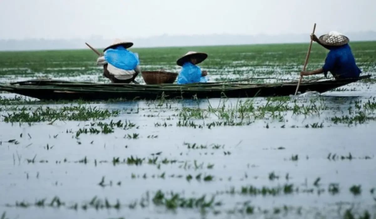 NCUK foundation pathway launches in Bangladesh